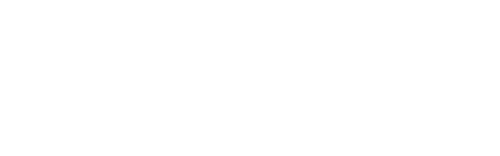 logo light